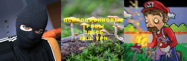 PSILOCYBIN Алексеевка