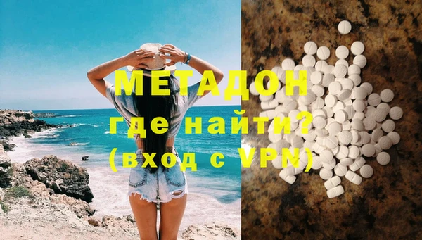 гашик Алексин