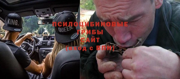 PSILOCYBIN Алексеевка