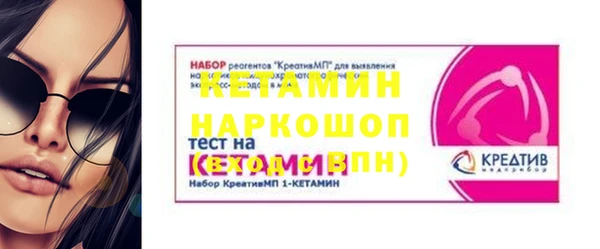гашик Алексин
