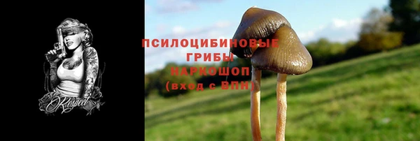 PSILOCYBIN Алексеевка