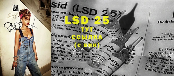 PSILOCYBIN Алексеевка