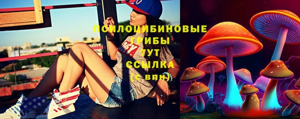 PSILOCYBIN Алексеевка