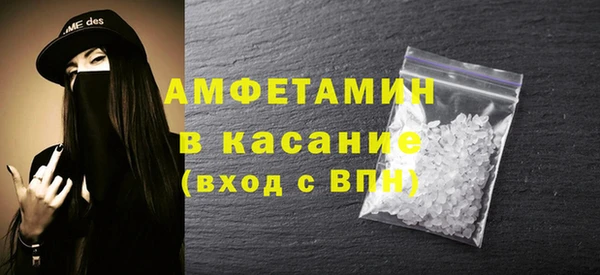 гашик Алексин
