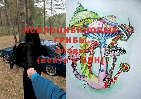 PSILOCYBIN Алексеевка