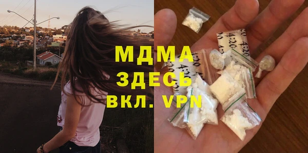 гашик Алексин